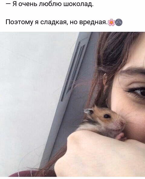 7131efd4dd747eef112b9484d4f3bd4b.jpg