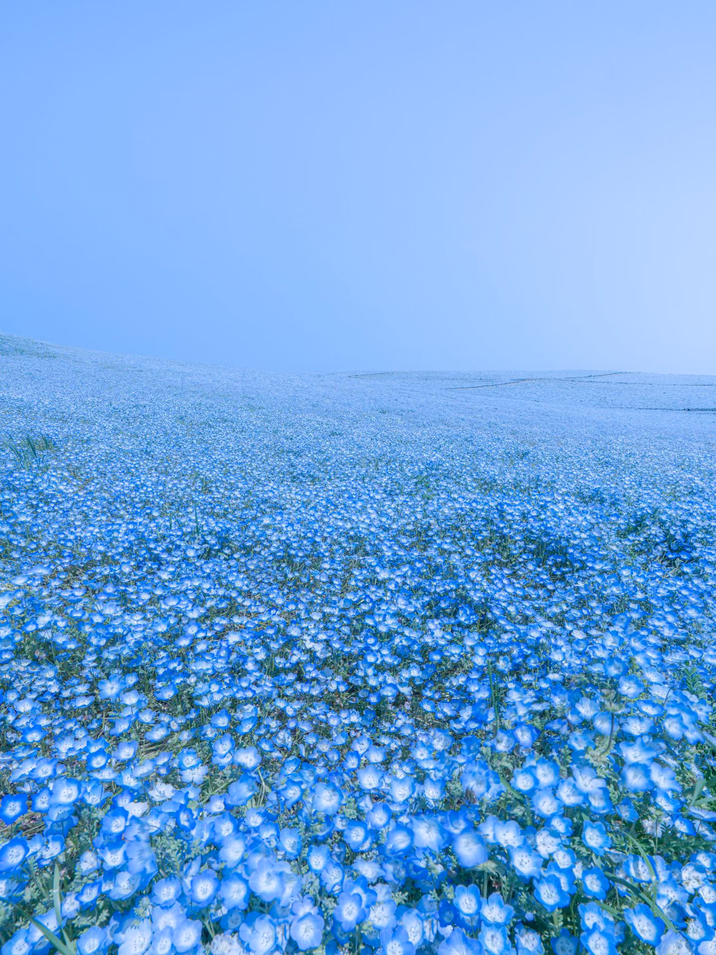 713bec799d266550e776547051a395d0.jpg