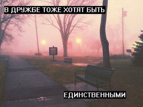 714e4d35740c25ac85d916cb8c2240c3.avif