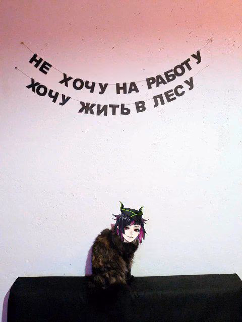 716cde6cb8cf1d5090e650c3dd79343f.jpg