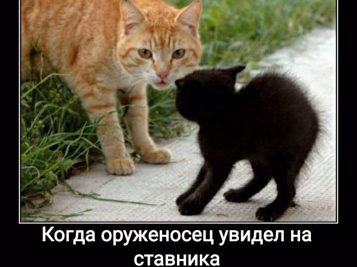 71845be2b867bf88c21c10b2dd8e7042.jpg