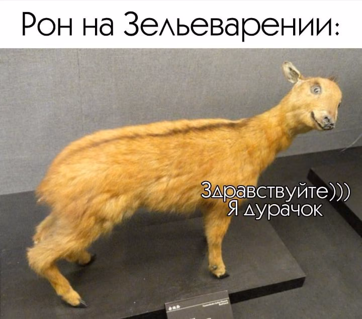 71887ccab263985a0c19ccea2e8e7f7b.avif
