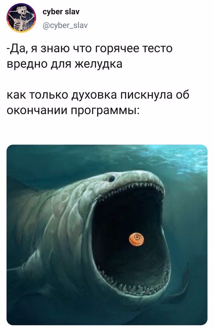 718d185168d796247b08f62373d69215.avif