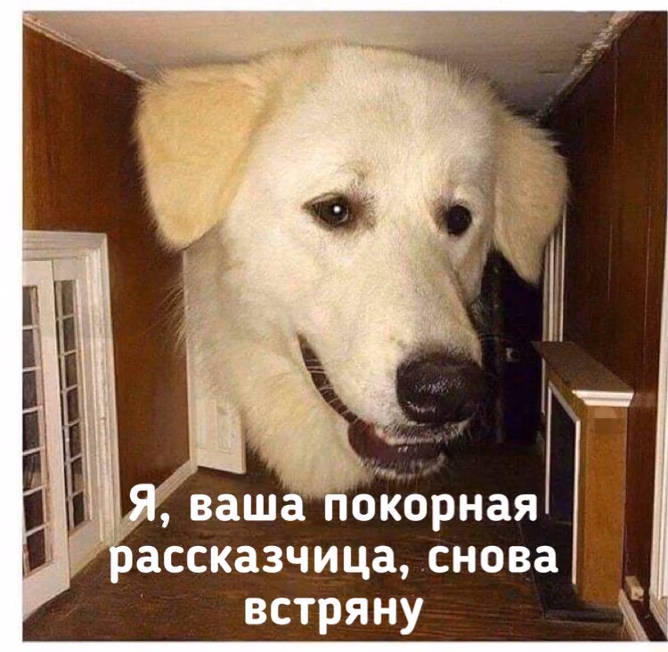 7197a5bab3cfe9f2d4f520c87d535bdb.avif