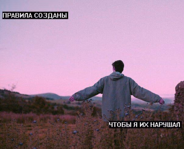 719d88a15c83d18134b14d9a24240f7e.jpg
