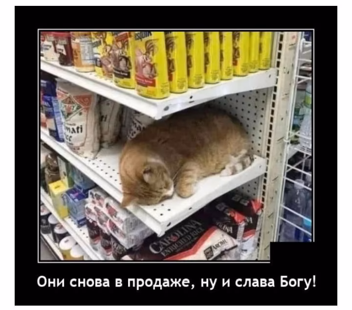 71b68c4c9a4fc04b55fb49e8ab869fb0.jpg