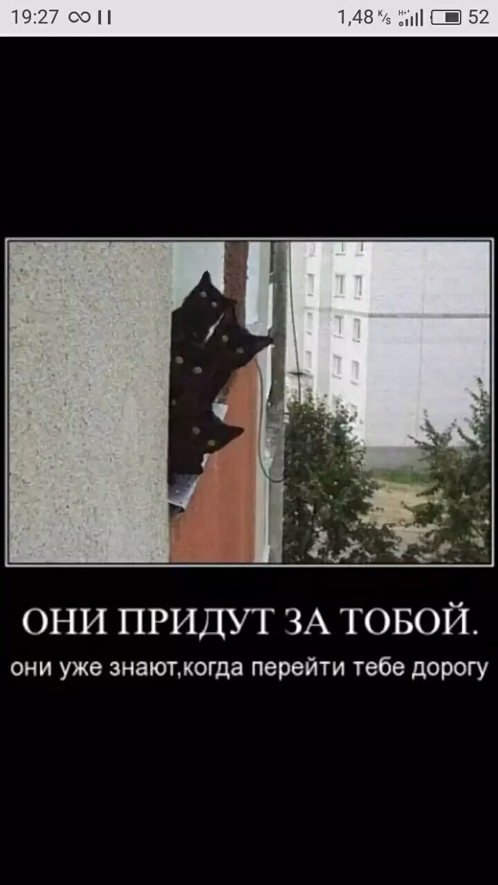 71d17c3e08a525650157cce7a54e7c1c.avif