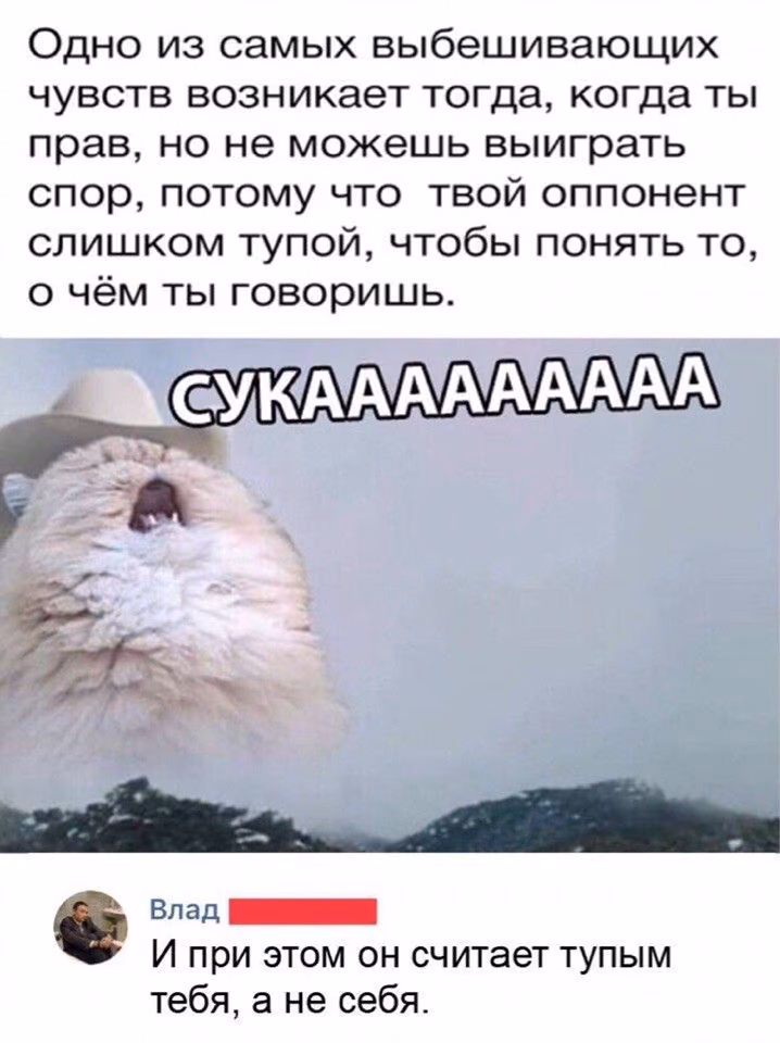 71dc60c8ca1bb4b4596bb8d3959592b6.jpg