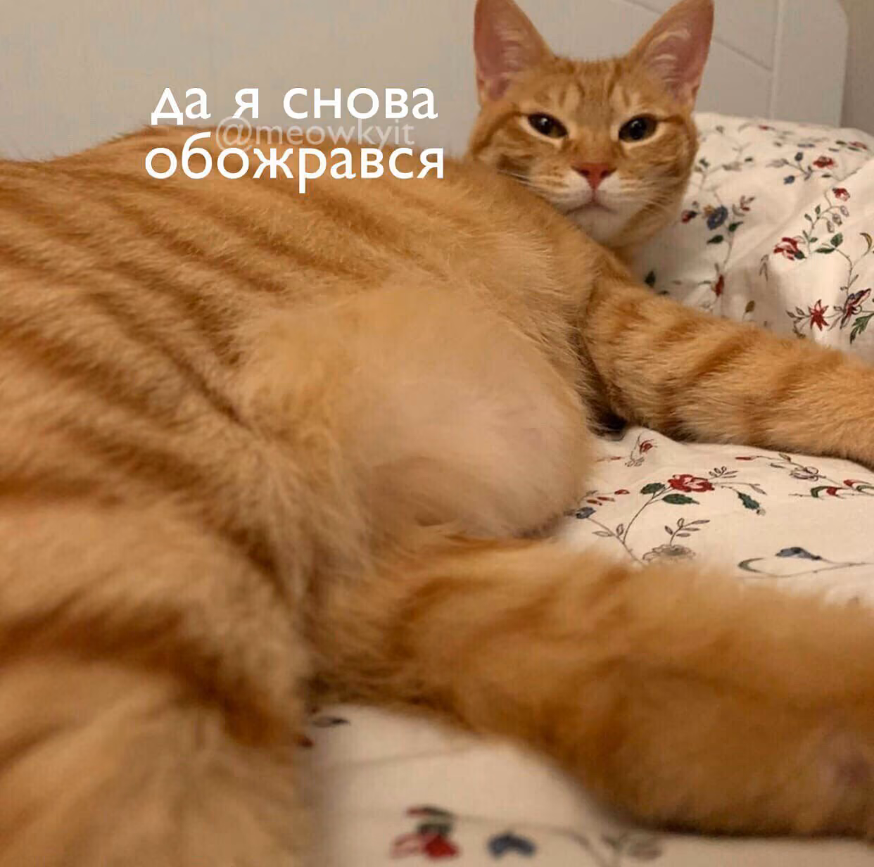 71e081d4ebad4505c7ab8ff8494ef07e.jpg