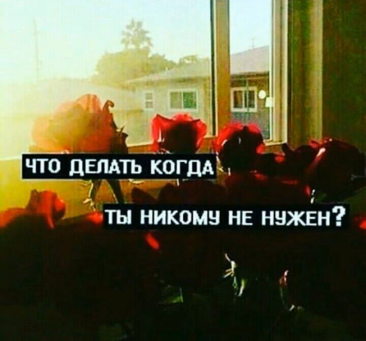 71f64bc303f44b6304a48c648c74c32b.avif