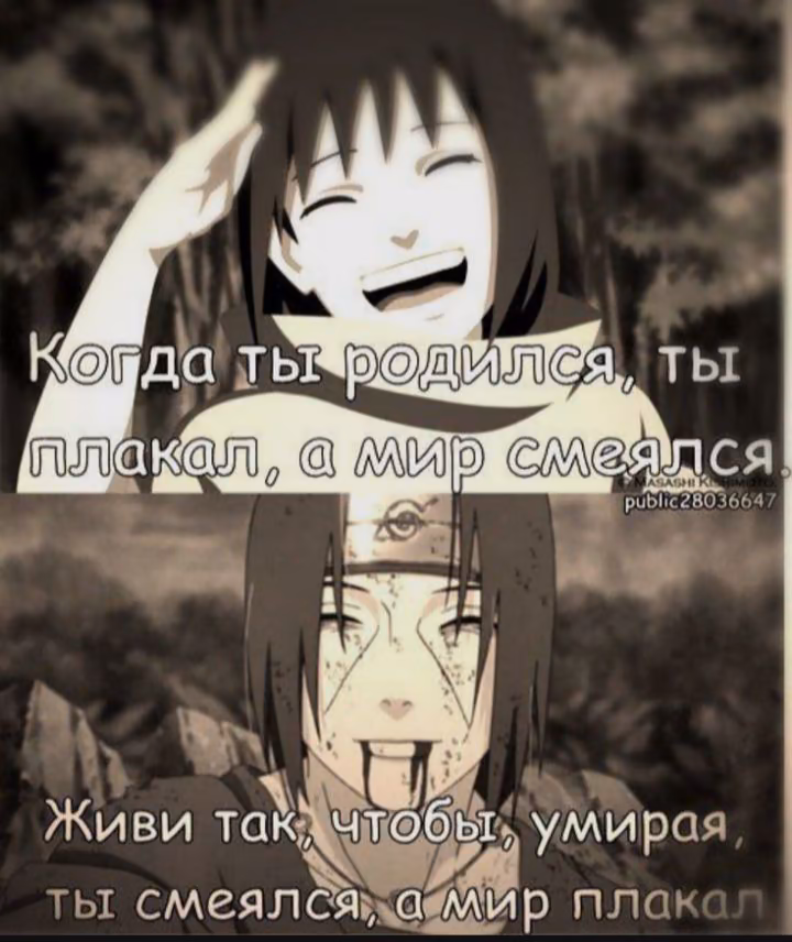 7204df130d97145645ba6ebc7e48afdf.avif