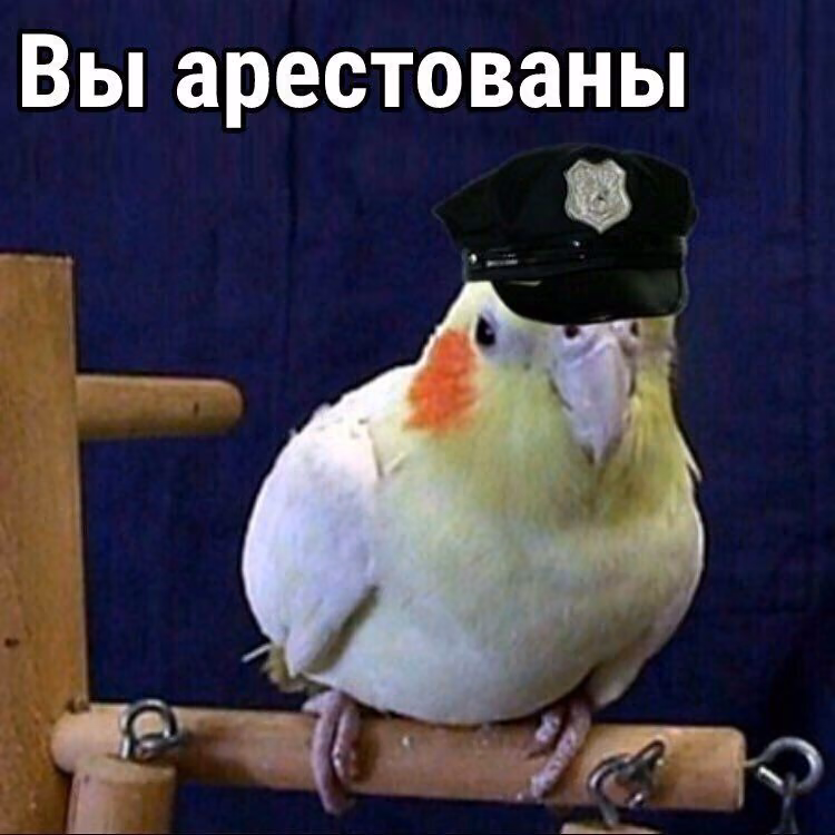 7219dc11d0542848f293871ccabdf338.avif