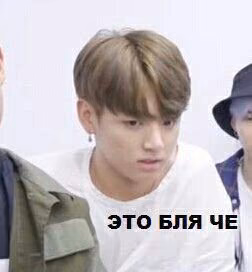 721adffa657bf61d75643ea0a5a4ab09.avif
