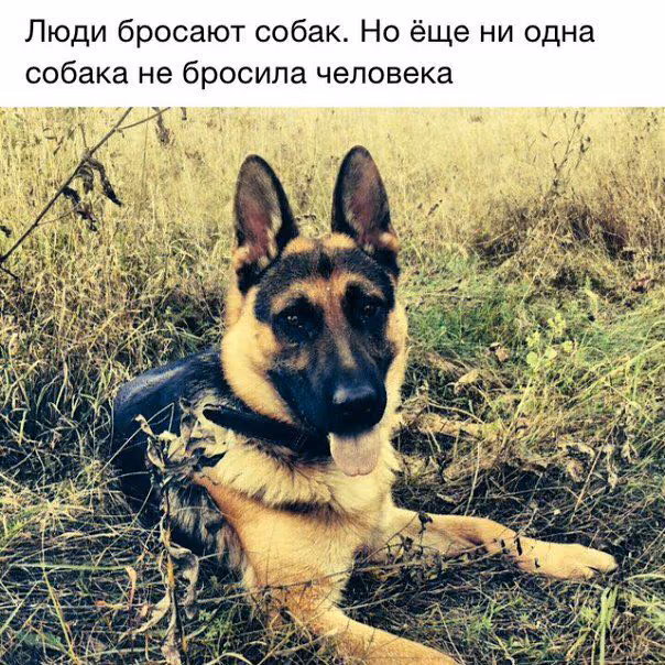7227c43e394af37df3fb6101d5d26bdd.avif