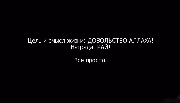 723135137f1f2c7f8bfaada1c75fc078.avif
