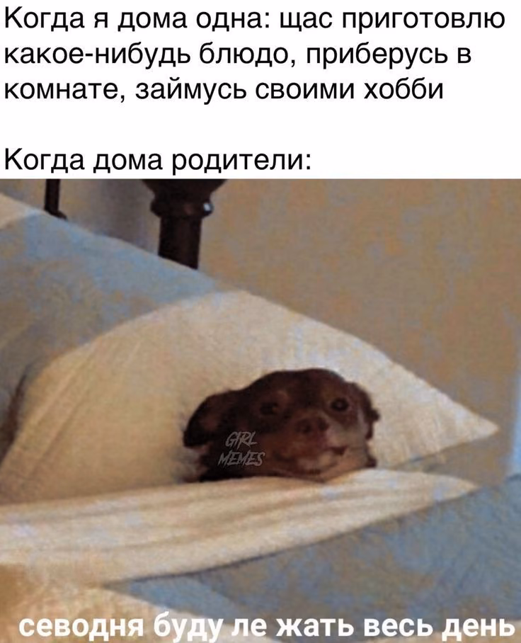 72347ea43fa505ac86c0dbdcd64e647e.avif