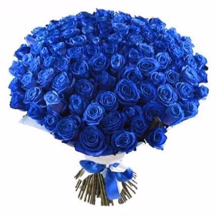 723d7b8cc09b3ebd011888471a9fd10b.avif