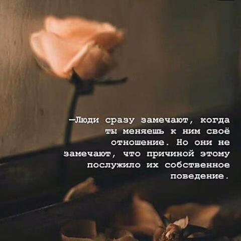 724e8782b829e524e9b8a12004d940b1.jpg