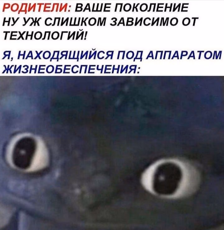 7256f273f2f28837e9810469aad65323.avif