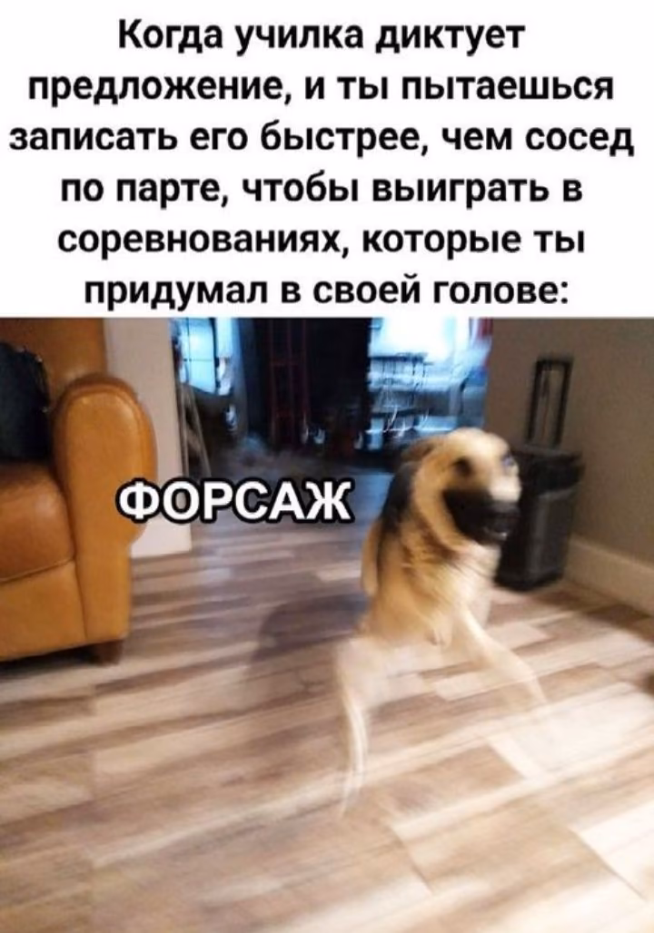 72573cd4f1ff3b3aa87f56e4225f6cbc.avif