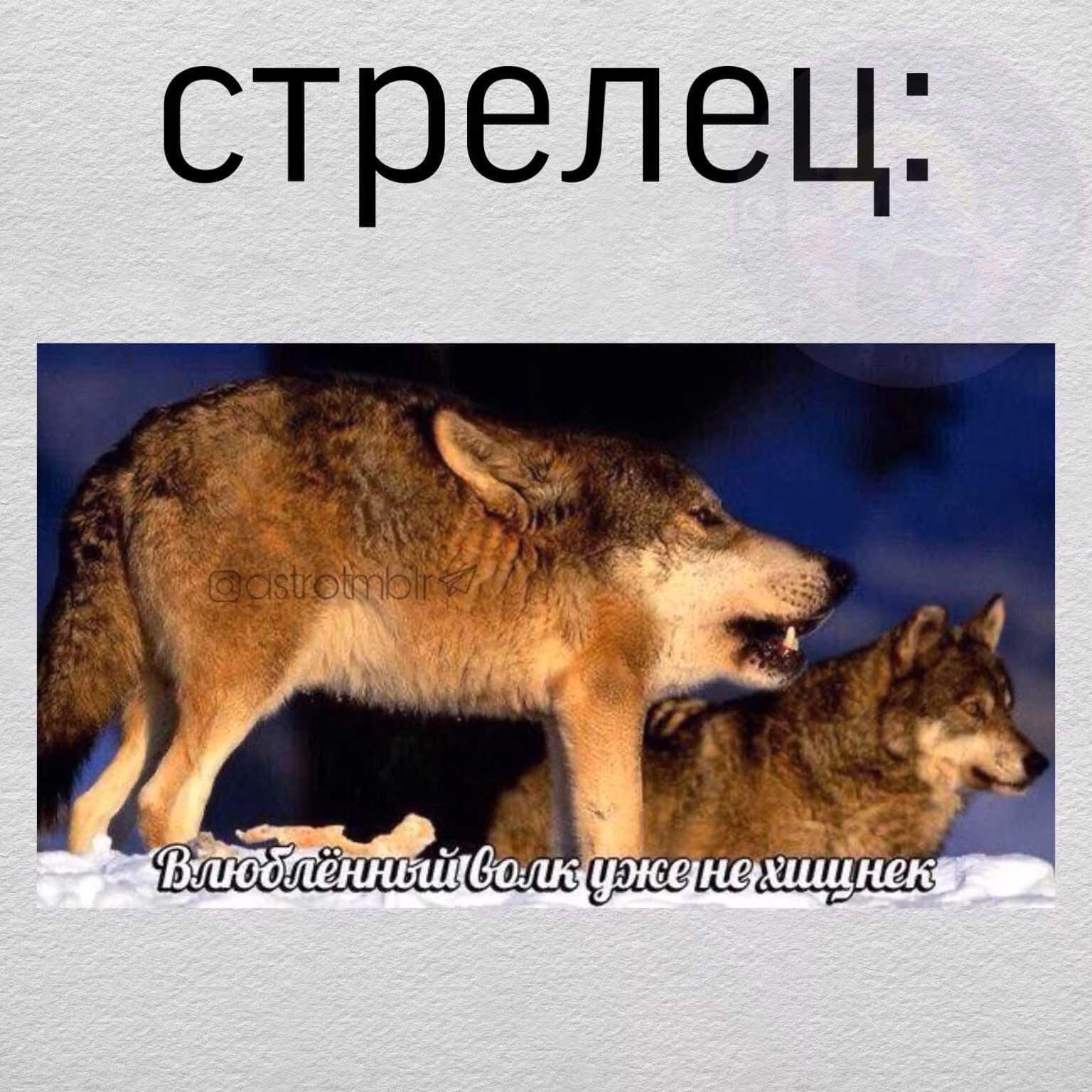 7258f6b8dfaf5e4f2b7a24ef8ff87f46.avif