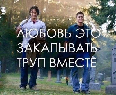 7268d5df9f37cdcb353867e446f17ab2.avif
