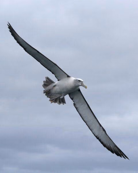 7277875e14611341b10501ae11d75d55.avif