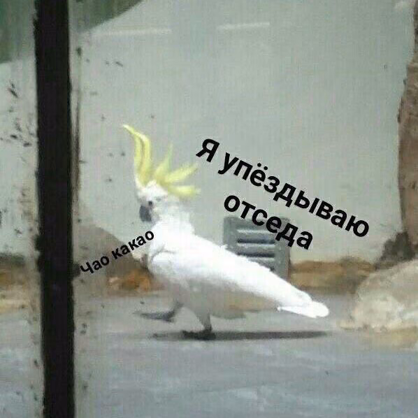 728472f5043bf26abeba30f2c12bbc39.avif
