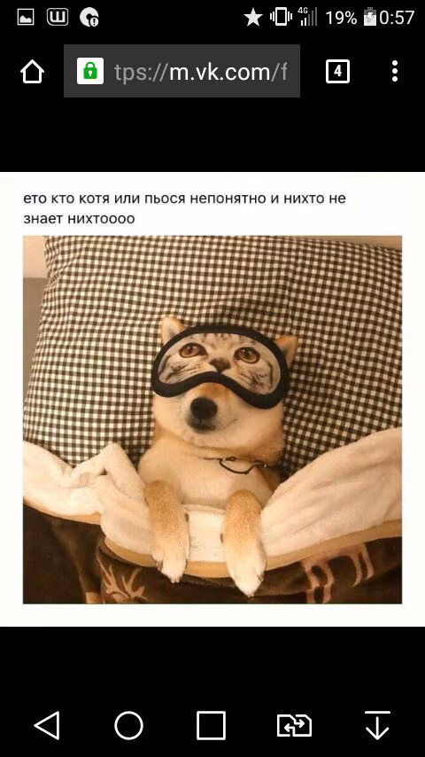 72b94e046ad034815c55f445c869e5e8.jpg