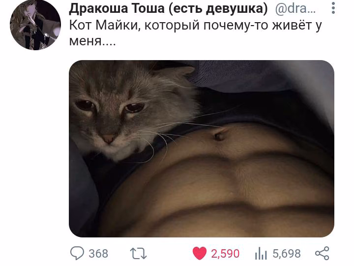 72ba6bca07922b57008fd467a55b81ce.avif