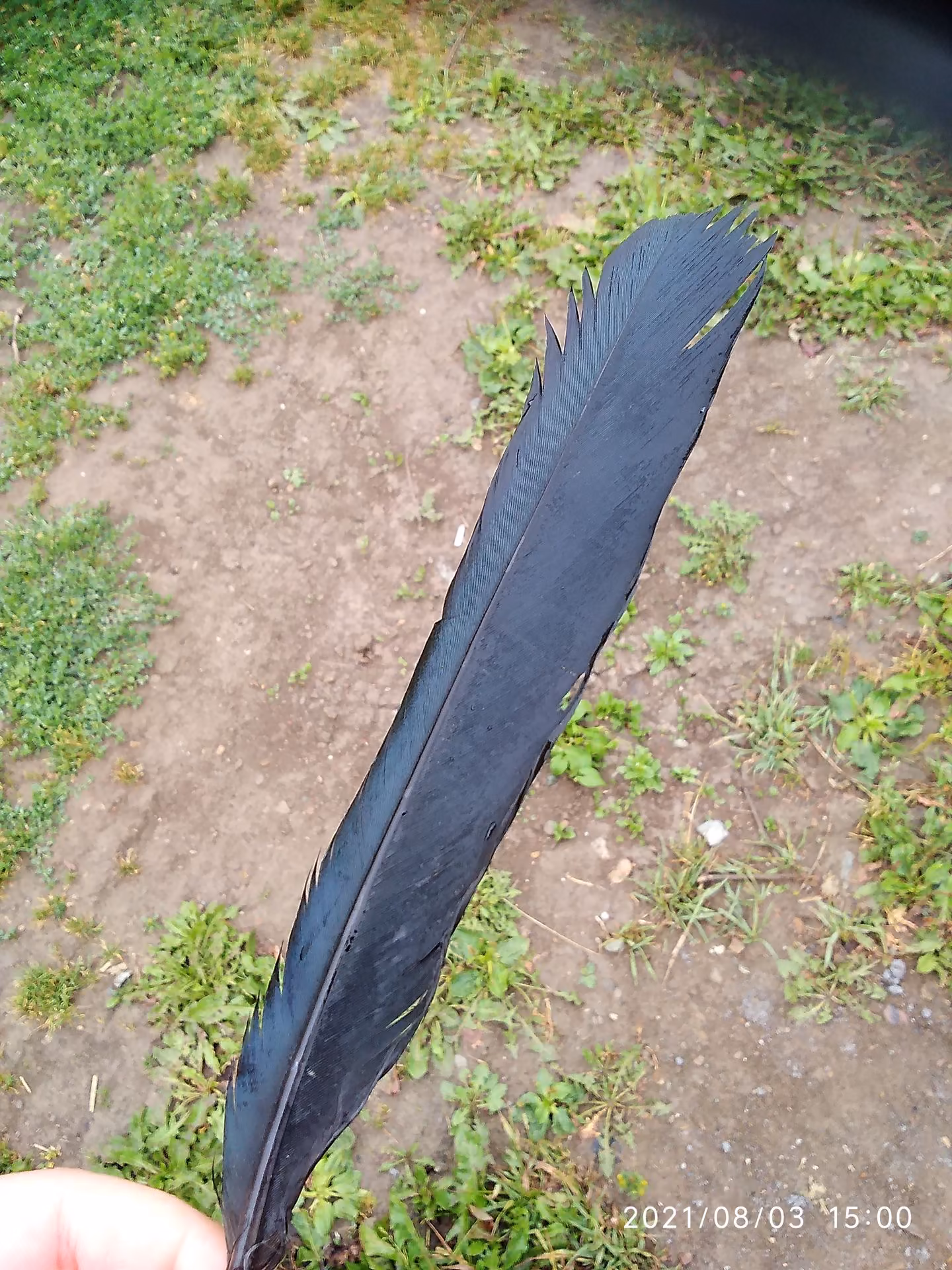 72c4dca7f9161cdac48b182374117f95.avif