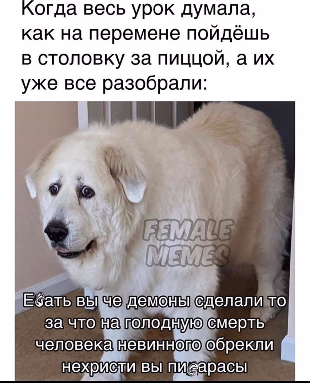 72d3f3d27c7525430343c718b43d00b1.avif