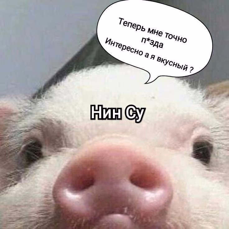 72d7cb1cc353ce929c502868cc5cd046.jpg