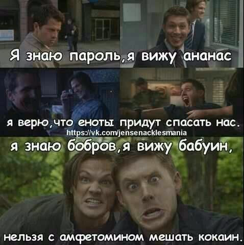72ea23cc537201b85c6f20ed60bf2c4e.jpg
