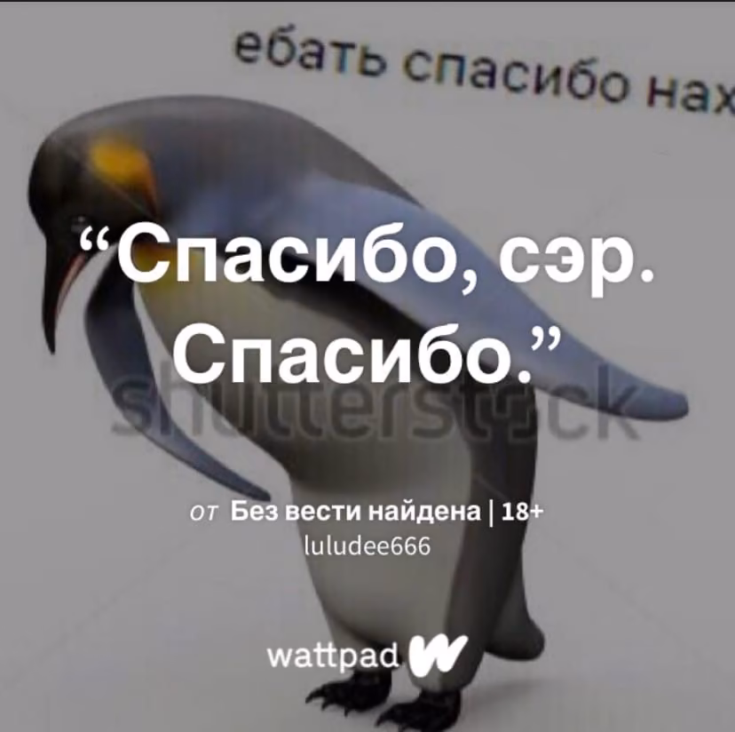 72f7982f96109a1f3cc11d674ae90611.avif