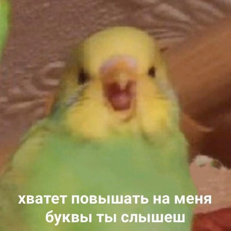 72f7e84df7f6f5ee9b9386f8950ad90c.jpg