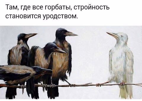 72fb746900674e835c183d23121ff941.avif