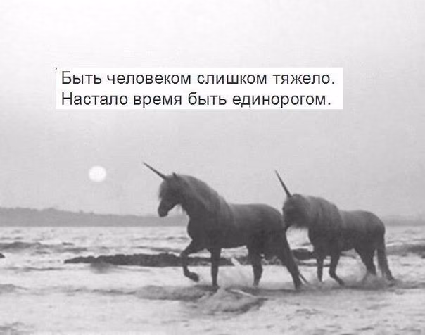730c8e078b0bc7ef153b338775500f17.jpg