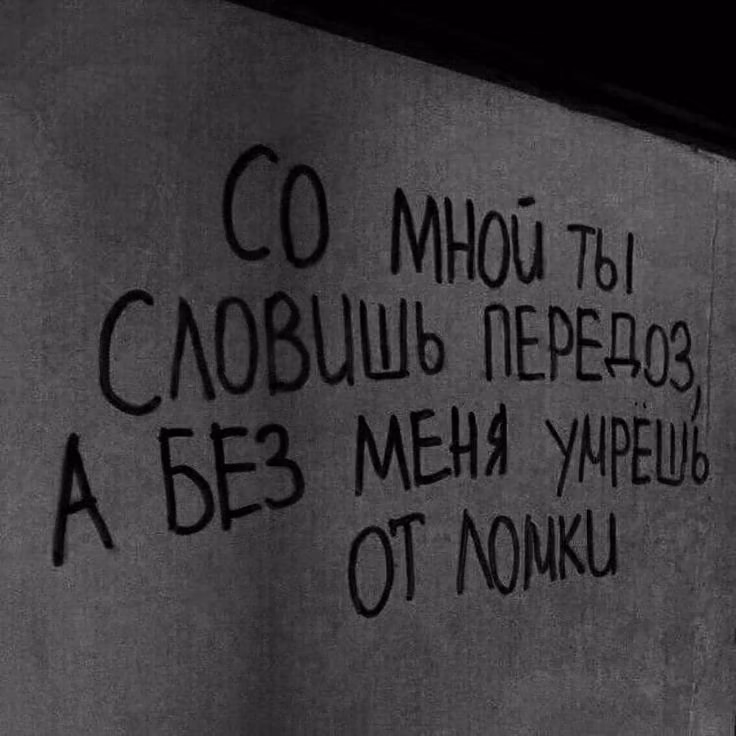 731c22ae497444703ab0cbf2d1dd9ee9.jpg