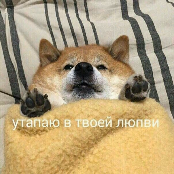 73277bff53ab2d0487613756a1d300fa.avif
