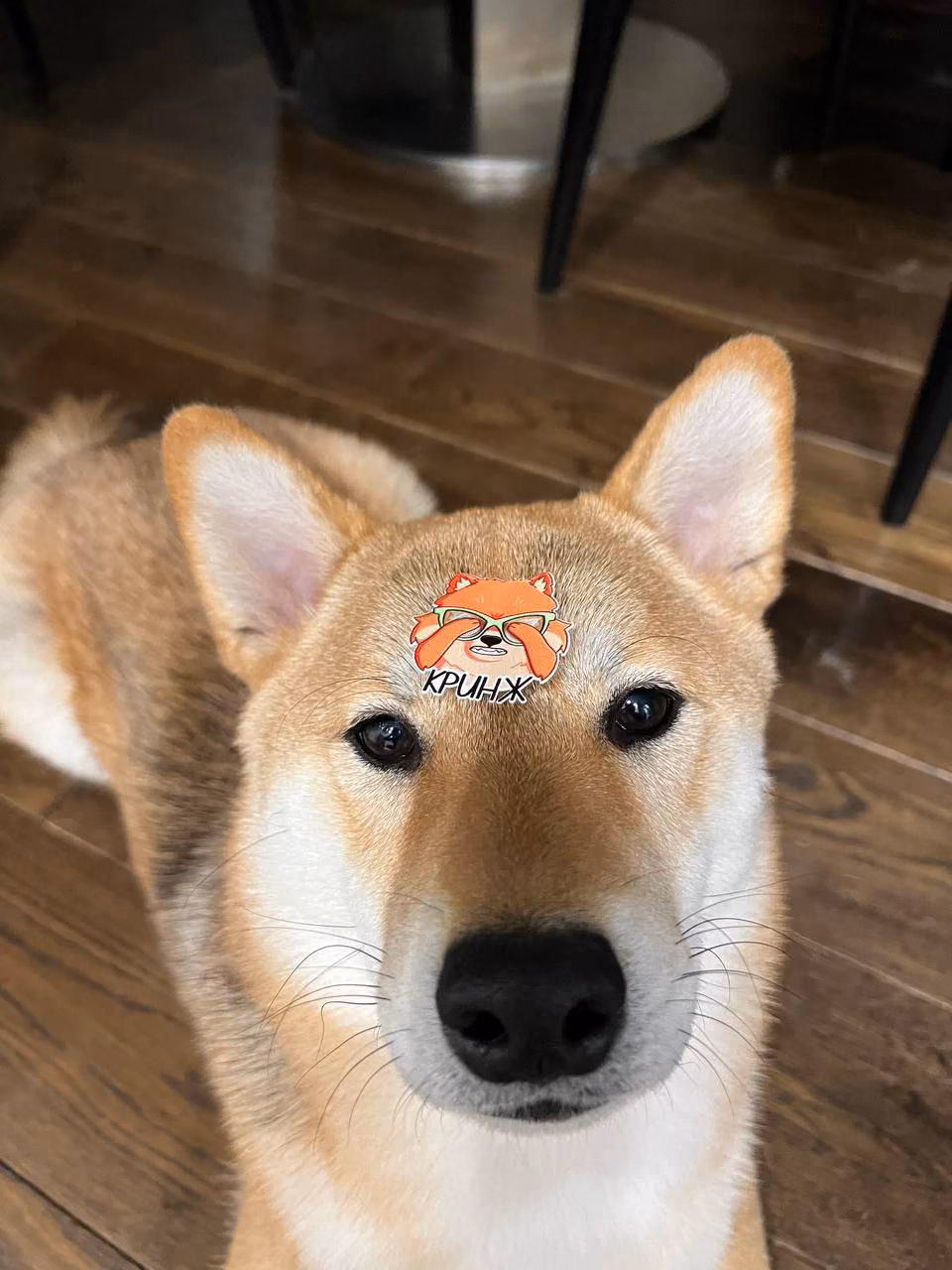 734967ebae41bd7c95c2c85633e94319.avif