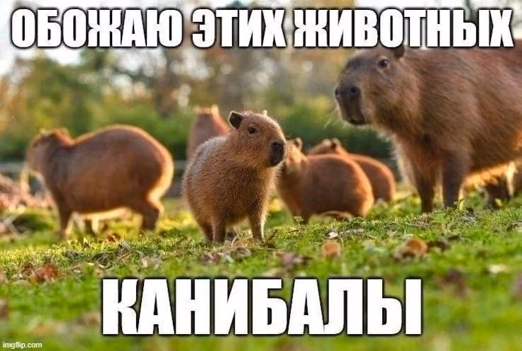 7351323d25ea6d0ec3a2ab5bf72cbc88.avif