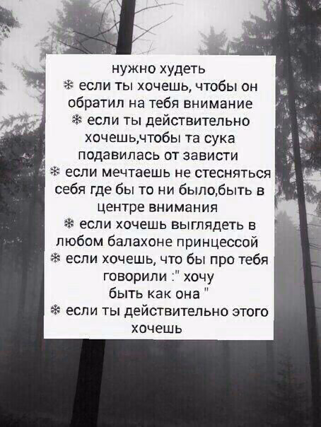 735864feeca8892b89dbdaedfa10aedb.avif