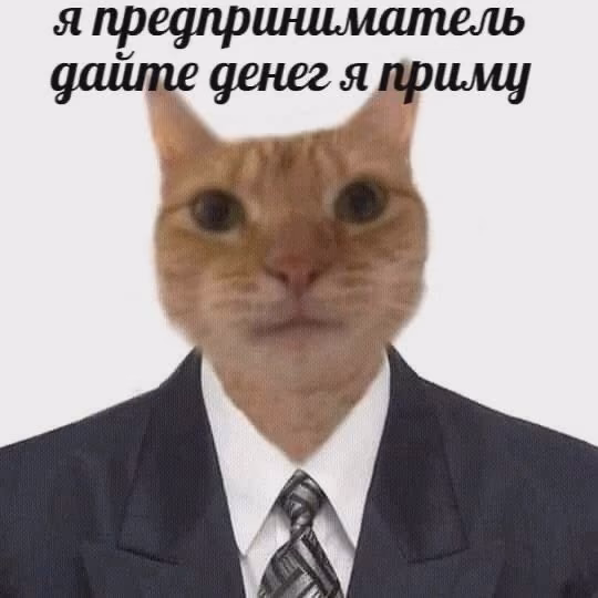 7369d435f553345cf12227474e2253d5.jpg