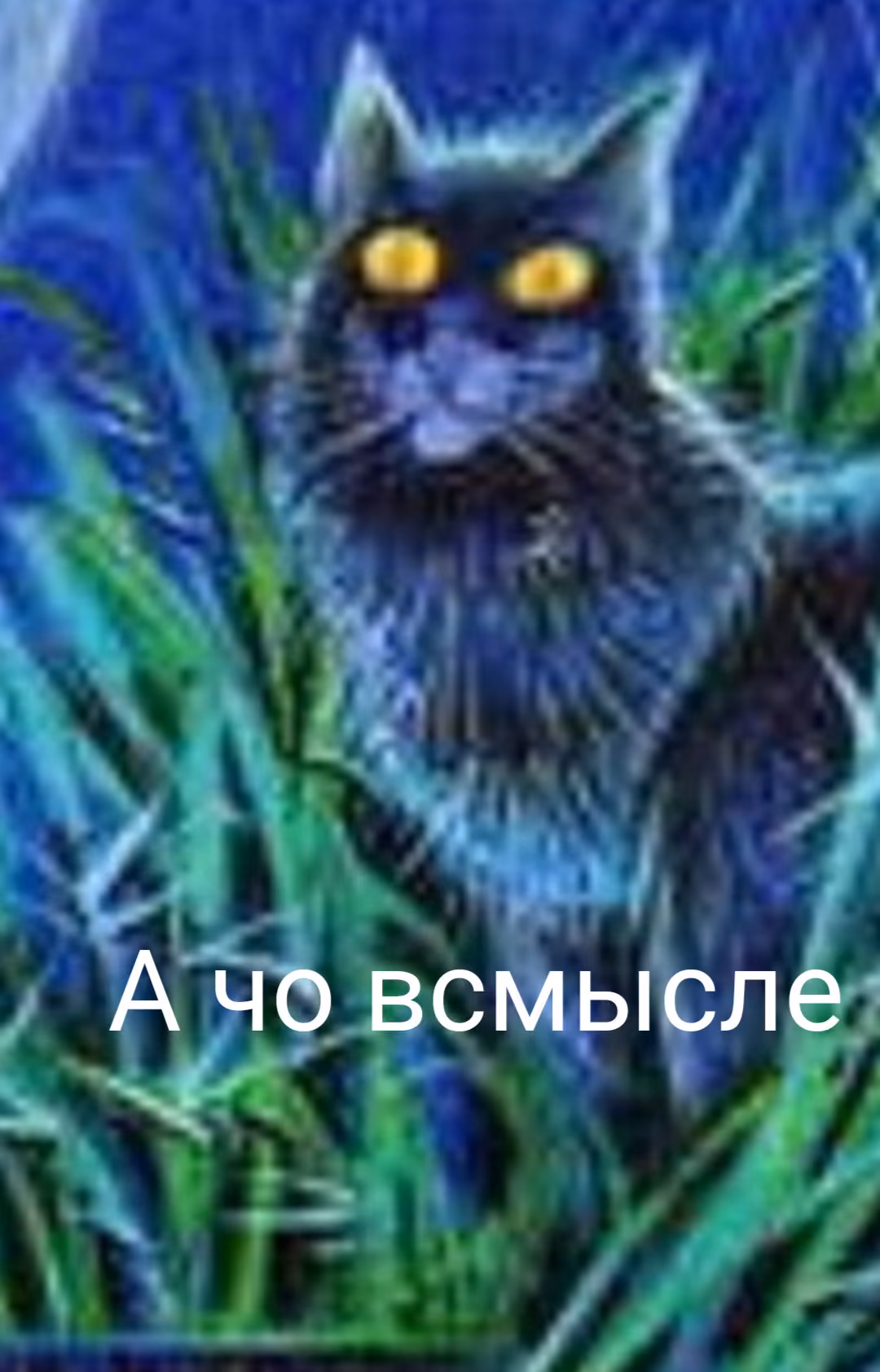 73733344ea801ffd387c2f928c4bda8e.avif