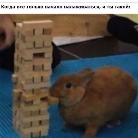 73793d088005e7d6682e32cdde4bf48c.jpg