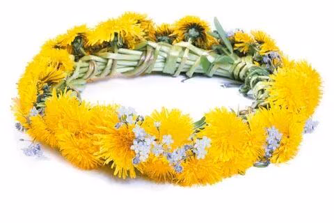 738e6db99ae8d0fffe1b8799a05cfb1a.avif