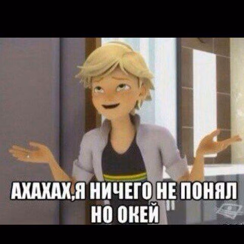7392fc25698fe998b379d6b286b2f48b.jpg