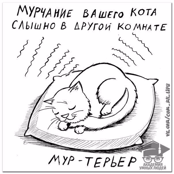 739e321fe5a444acf3da7c75b0b97cd5.avif