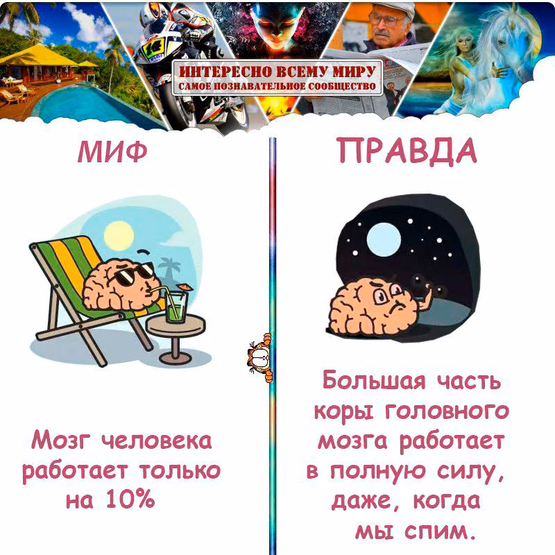 73a5894dd926496991478a0908b9620a.jpg